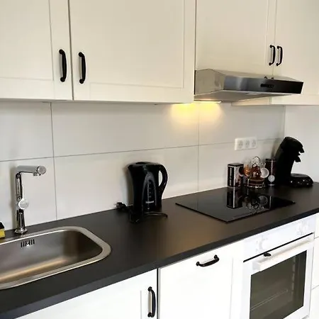Duplex Avec Jardin 아파트 잉어스하임