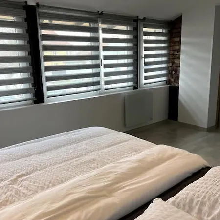 아파트 Duplex Avec Jardin 잉어스하임