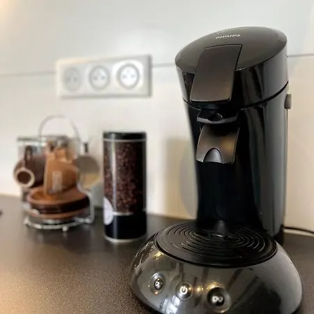 아파트 Duplex Avec Jardin *